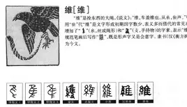 包含维尼修斯启幕全国总决赛9球迷热议的词条 包含维尼修斯启幕全国总决赛9球迷热议的词条
